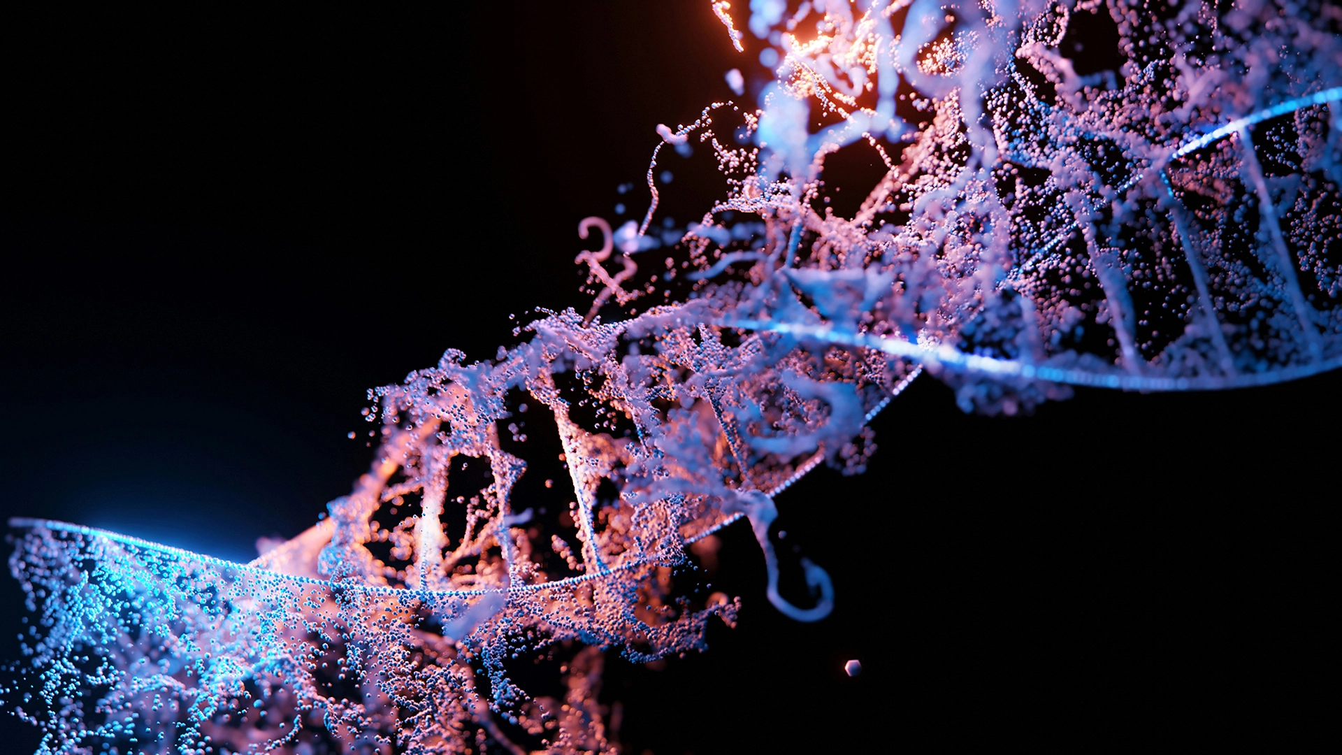 &Eta; &Alpha;&kappa;&omicron;&lambda;&omicron;&upsilon;&theta;ί&alpha; DNA &Mu;&pi;&omicron;&rho;&epsilon;ί &nu;&alpha; &Gamma;ί&nu;&epsilon;&iota; &Kappa;ύ&rho;&iota;&omicron;&sigmaf; &Sigma;&tau;ό&chi;&omicron;&sigmaf; &gamma;&iota;&alpha; &Chi;ά&kappa;&epsilon;&rho;&sigmaf;
